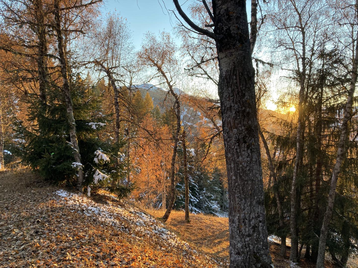 Le chemin au pied du chalet vers le col de la chal.