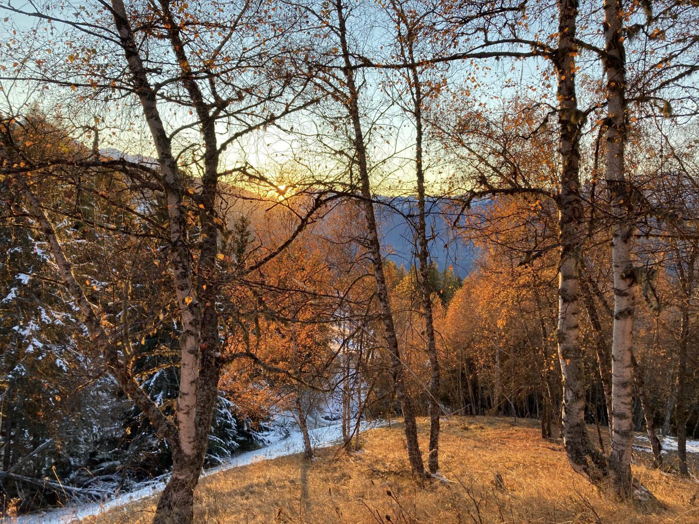 Le chemin au pied du chalet vers le col de la chal.