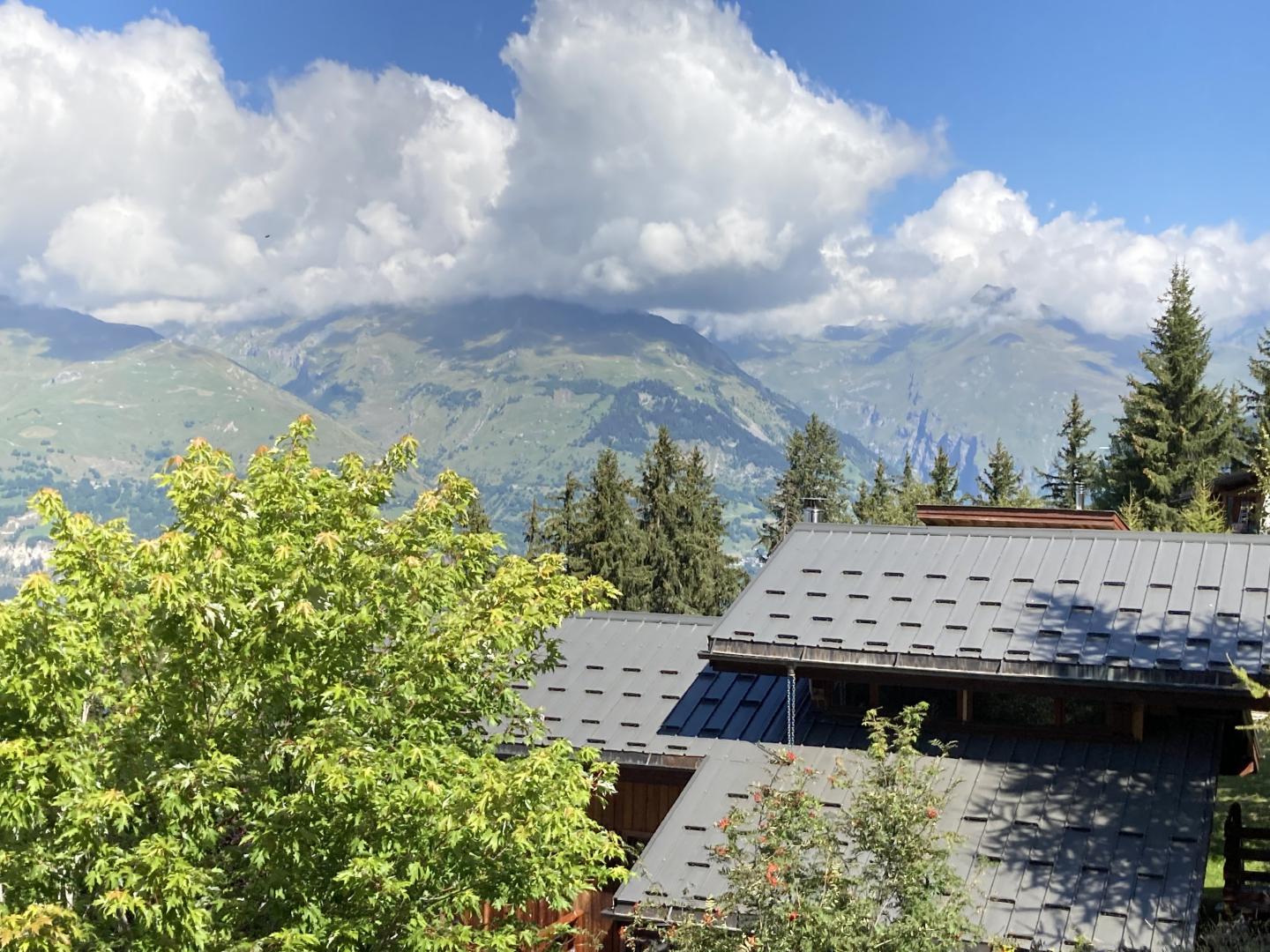 Vue de la cuisine en été.